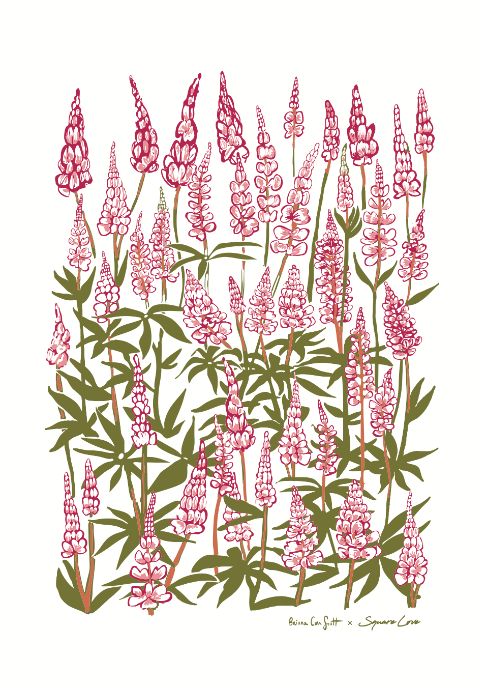 Lupine Pink Gift Duo | Linen Blend (Pre Order)