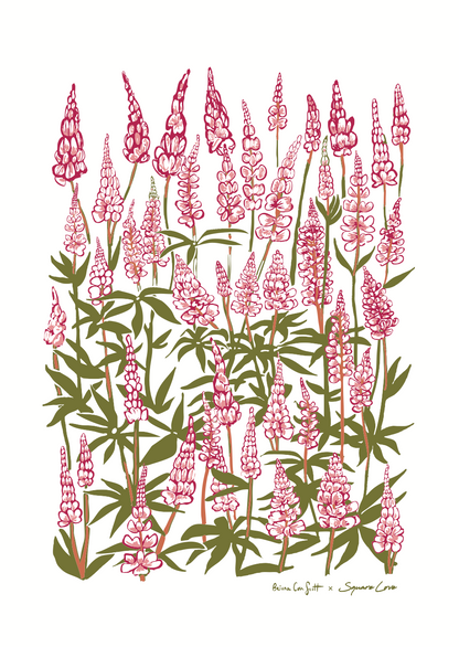 Lupine Pink Gift Duo | Linen Blend (Pre Order)